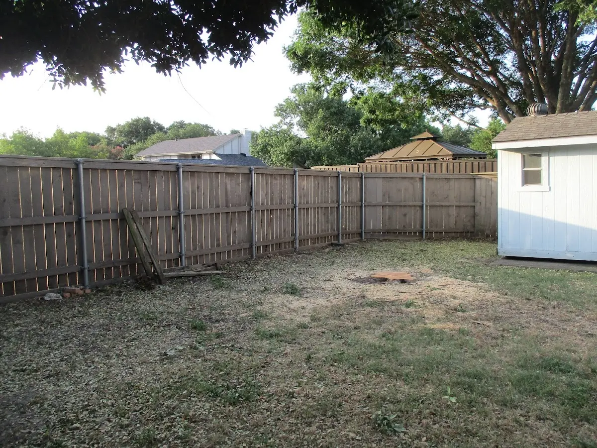 Cleared yard after professional tree removal in Grosvenor Dale